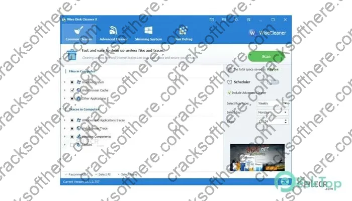 Wise Disk Cleaner Crack 11.0.7.821 Free Download