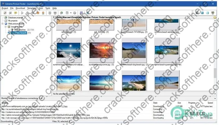 Extreme Picture Finder Crack 3.66.6 Free Download