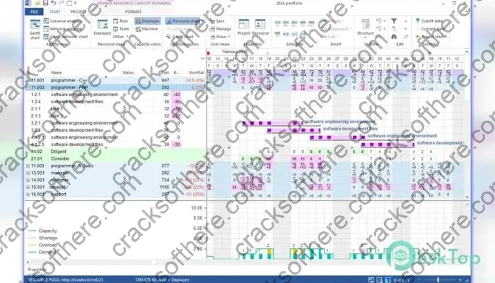 Rillsoft Project Crack 9.0.611.191 Free Download