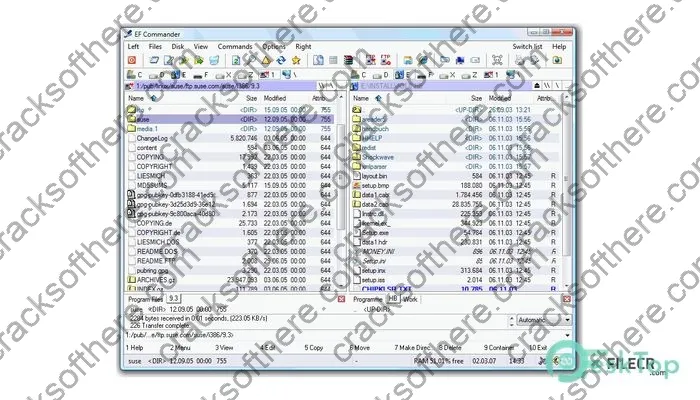 EF Commander Crack 23.12 Free Download