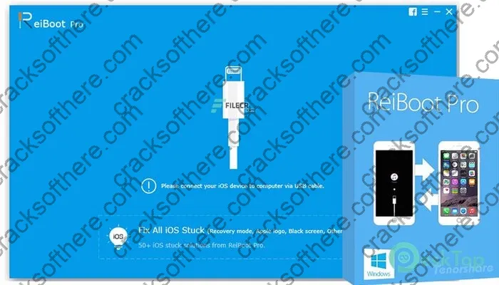 Tenorshare Reiboot Pro Activation key 10.10.8 Full Free Activated