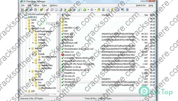 EF Checksum Manager Crack 2023.11 Free Download