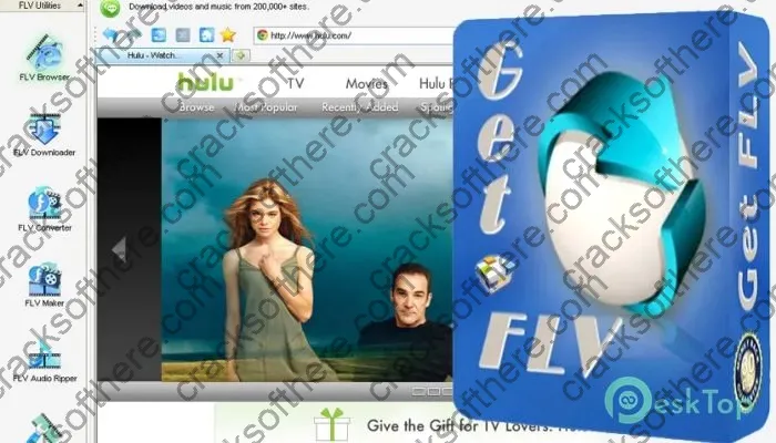 Vdigger Getflv Serial key 31.2401.18 Free Download