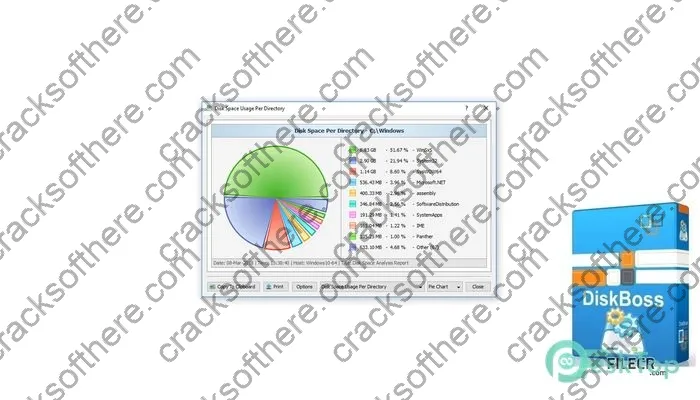 DiskBoss Crack 14.0.12 Pro / Ultimate / Enterprise