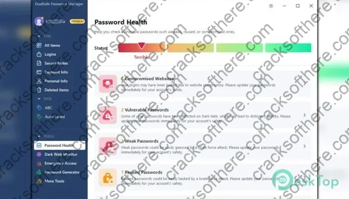 Dualsafe Password Manager Serial key 1.4.0.14 Free Download