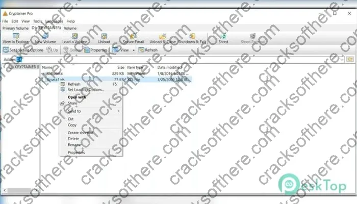 Cypherix Cryptainer Pro Crack 17.0.2.0 Free Download