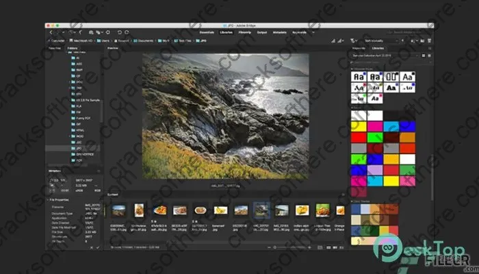 Adobe Bridge 2024 Crack v14.0.2.191 Multilingual Free Download